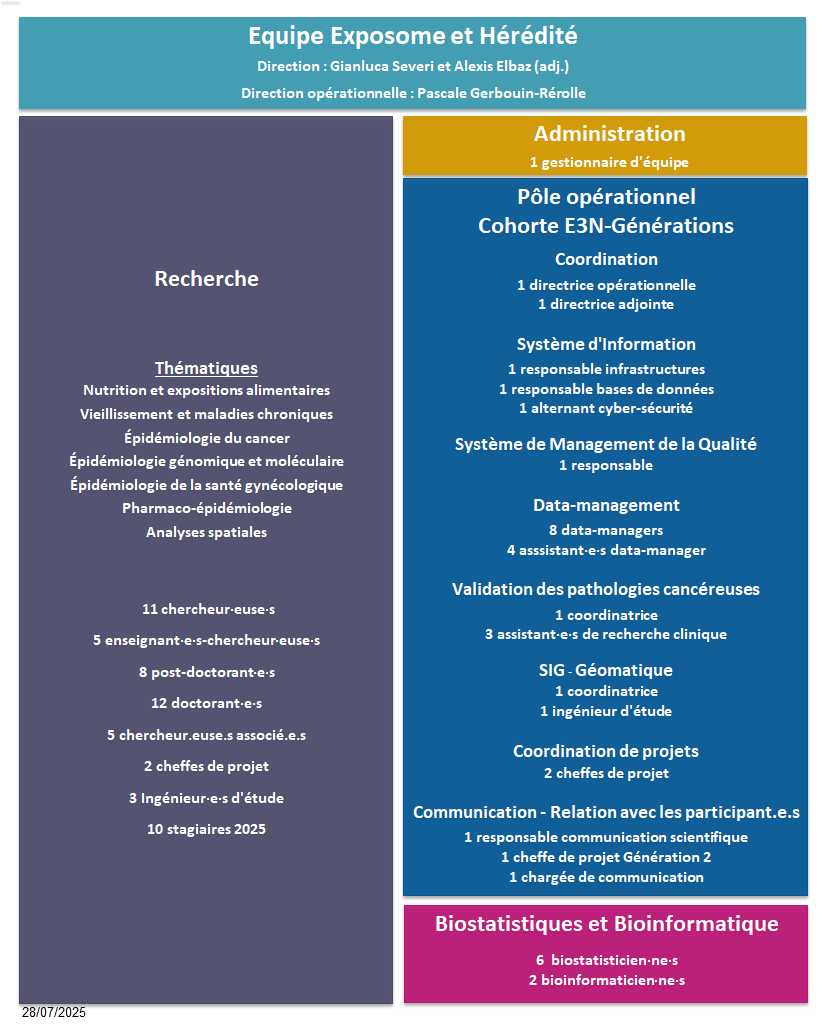 Organigramme_20250728