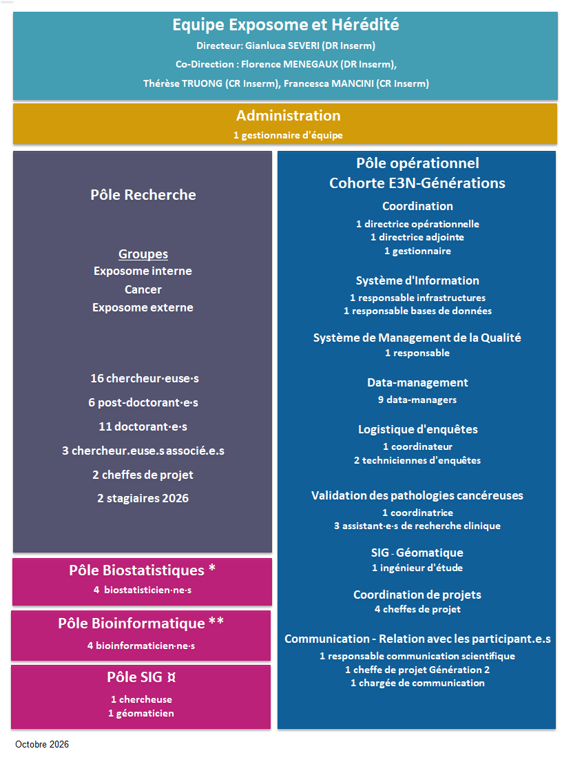 Organigramme 2026