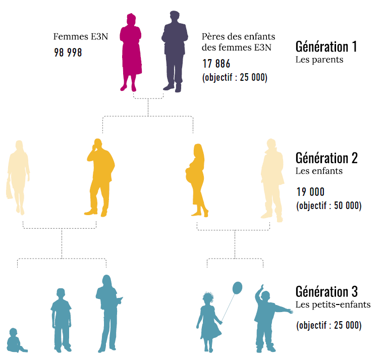 Les 3 générations de l'étude E3N-Générations