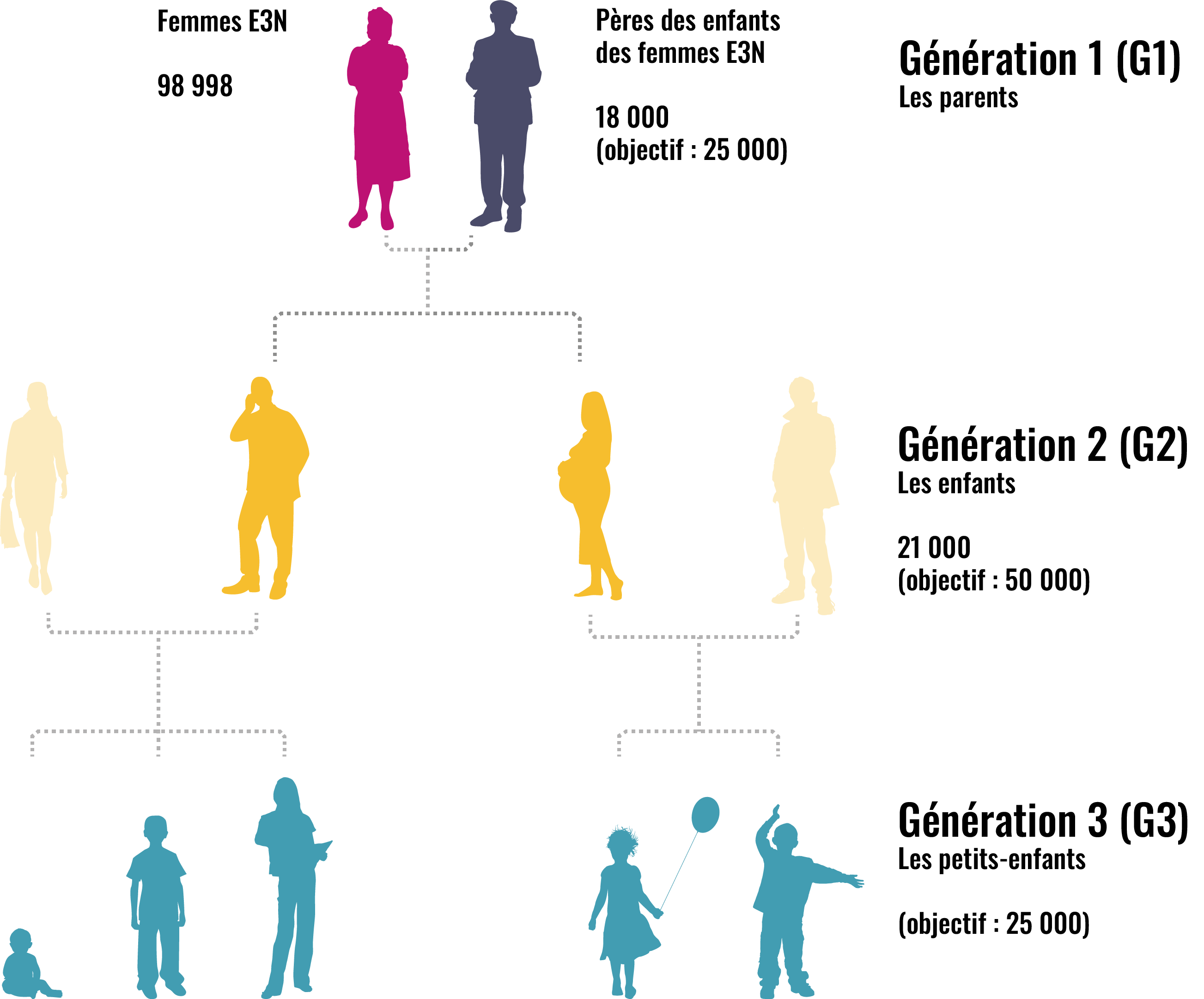 Les 3 générations de l'étude E3N-Générations