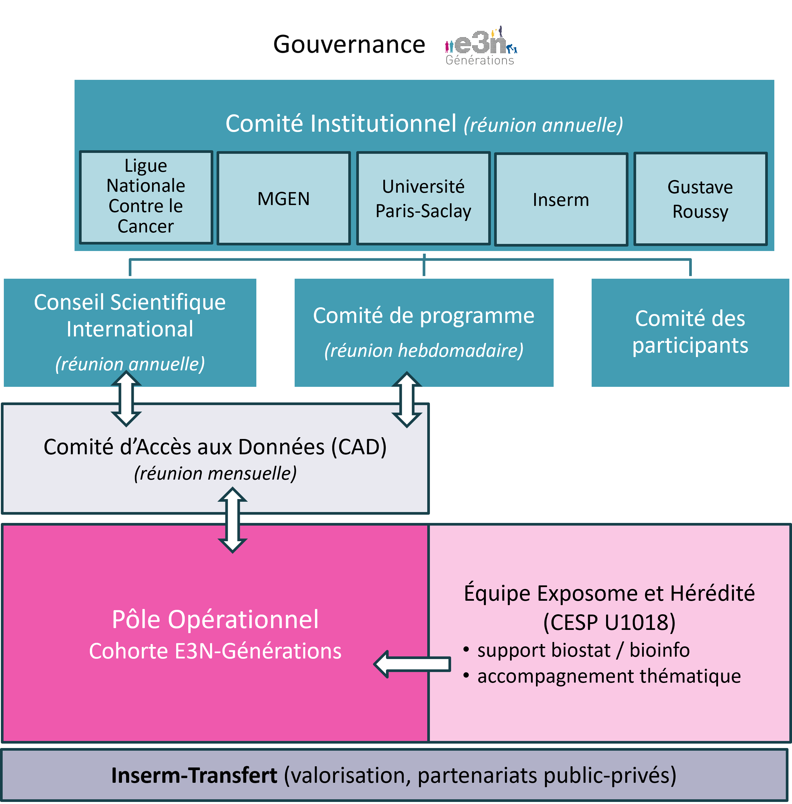 Gouvernance cohorte E3N-Générations