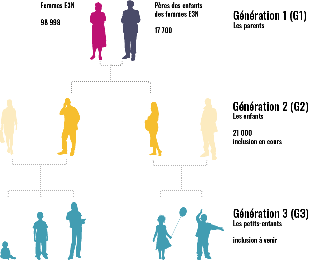 Schéma générations (juin 2025)