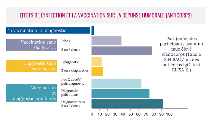 Influence de la vaccination ou de l’infection sur la production d’anticorps