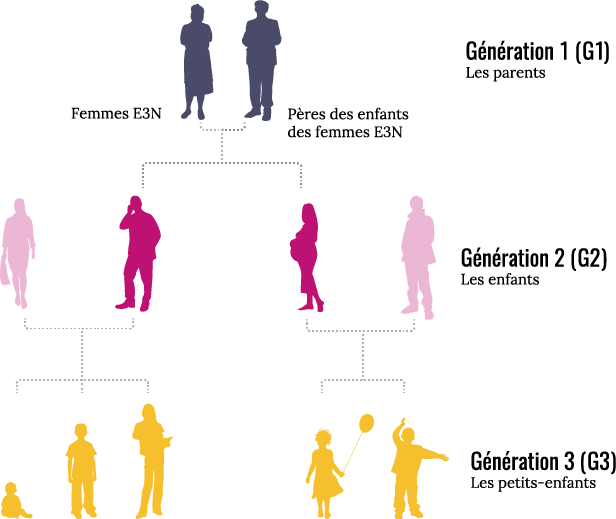 The 3 generations of the E3N-Generations study