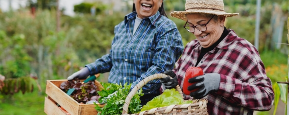 Jardinage et activité physique