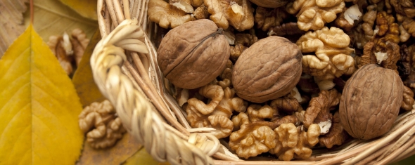 Asthme et profils alimentaires
