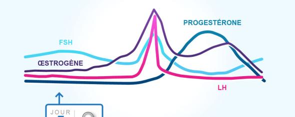 Hormones et mélanome