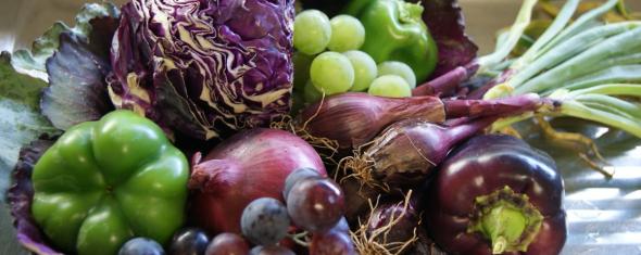 Les antioxydants : bénéfiques contre le diabète de type 2 ?