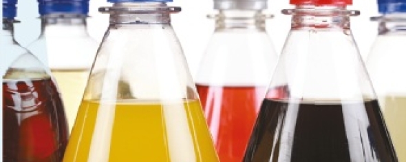 Les boissons « light » sont à éviter