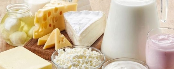 Produits laitiers, calcium, et vitamine D : influence sur le risque d’adénome et de cancer colorectal