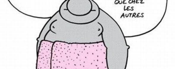 Survie après cancer du sein et obésité