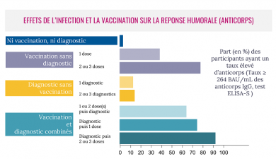 anticorps, vaccination et infection