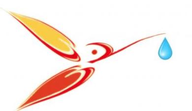 colibri_don