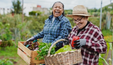 Le jardinage est considéré comme une activité physique