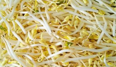 Cancer du sein et consommation alimentaire de phyto-estrogènes