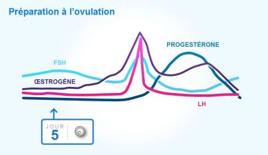 Hormones et mélanome