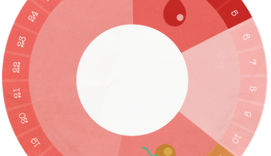 Risque de cancer du sein et nombre de cycles menstruels