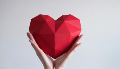 Un prix pour nos recherches sur les maladies cardiovasculaires chez les femmes